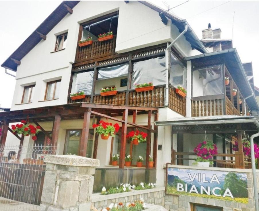 Vila Bianca Буштени Экстерьер фото